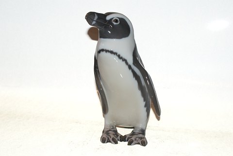 Bestellnummer: 120201