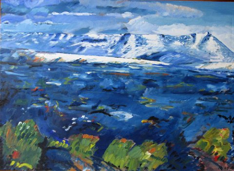 vare nr: 
c226