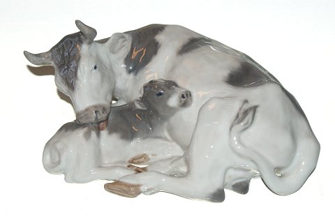 item no: 139764
