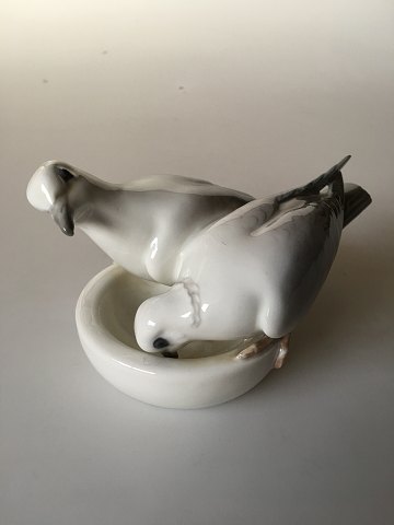 item no: 141996