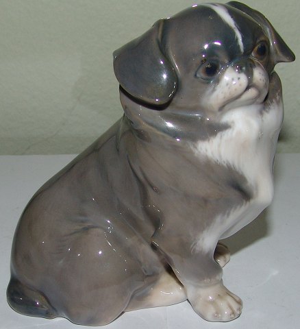 item no: 143997