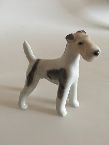 item no: 144029