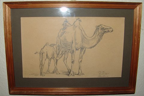 Bestellnummer: 145971