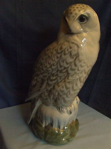 item no: 
148767