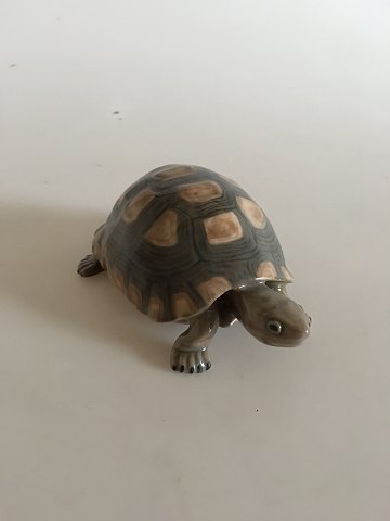 item no: 154649