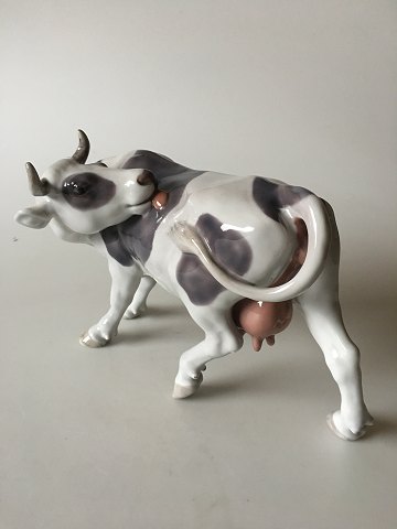 item no: 
159268