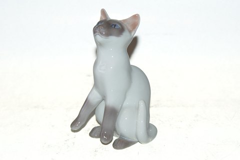 item no: 171713