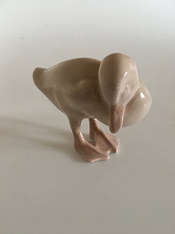 item no: 179746