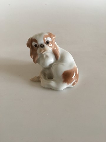 item no: 180092