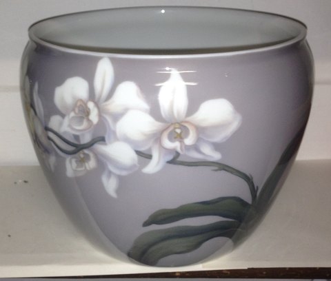 item no: 181059