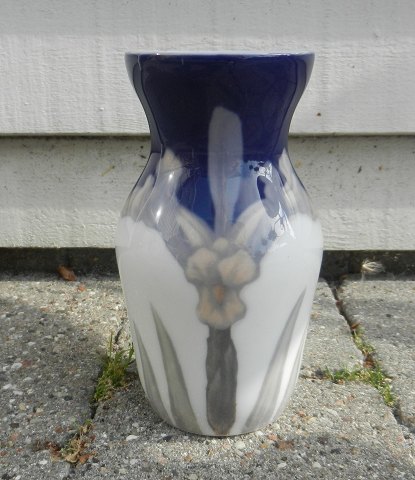 item no: 184446