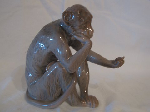 item no: 193543