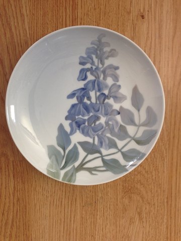 item no: 215864