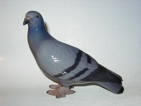 item no: 
22502