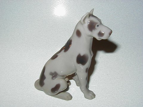 item no: 
22829