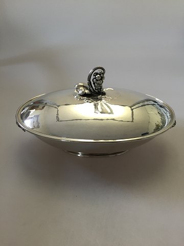 item no: 243125