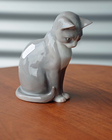 item no: 245498