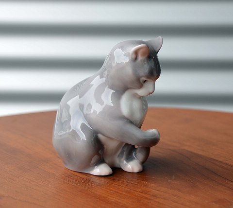 item no: 245500