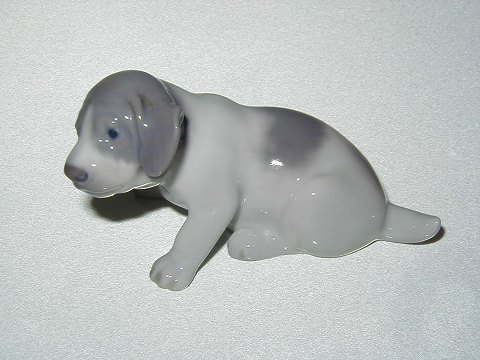 item no: 24671