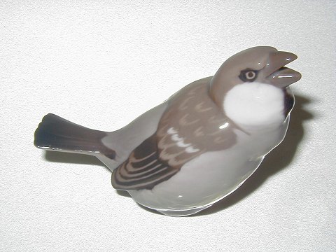 item no: 
24682