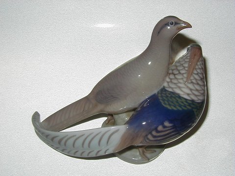 item no: 24855