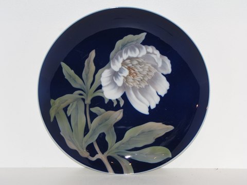 vare nr: 
250019