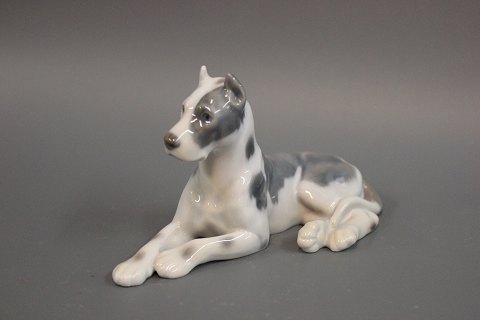 Bestellnummer: 251660
