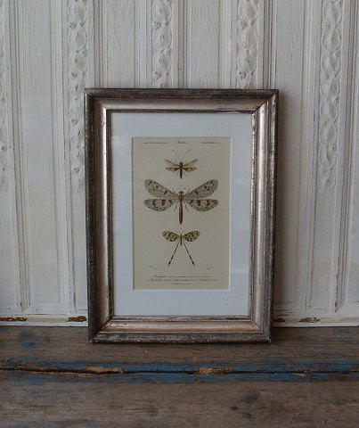item no: 265928
