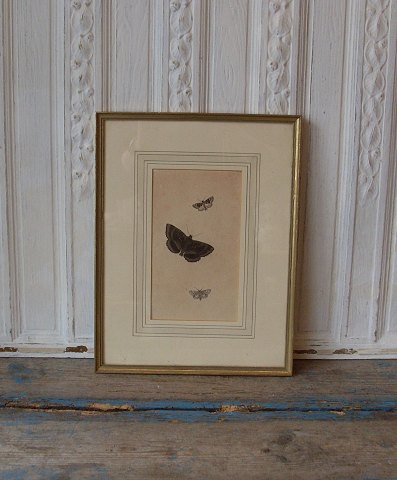 item no: 266960