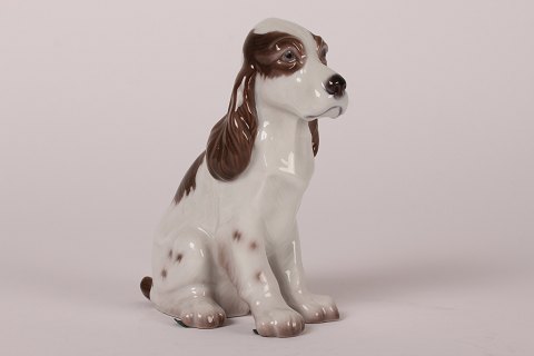 Lyngby Porcelæn
Cockerspaniel