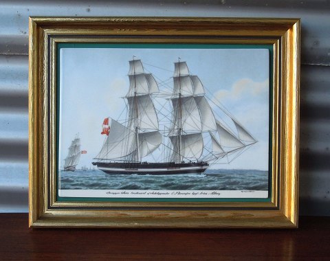 item no: 282584