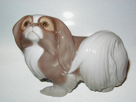 item no: 
28577