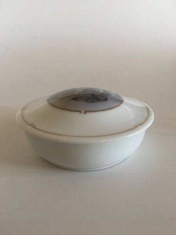 item no: 294383