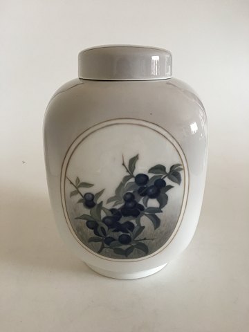 item no: 295585