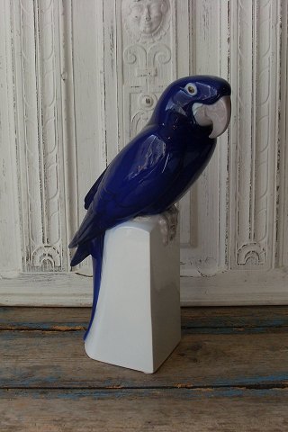 item no: 300257