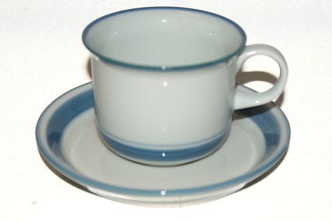 item no: 
303895