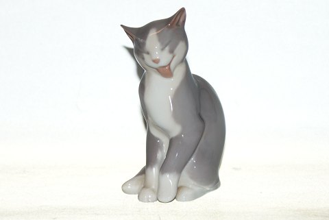 item no: 304725