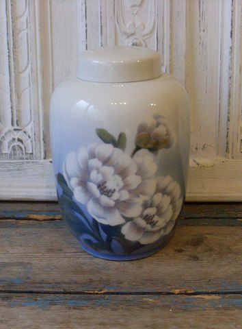 item no: 320651