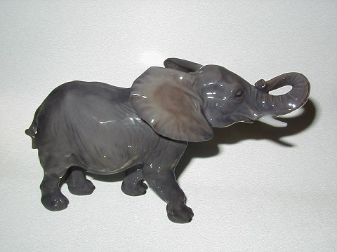 item no: 32536