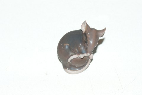 Bestellnummer: 364512