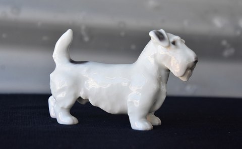 item no: 366422