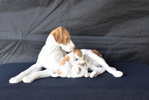 item no: 371549