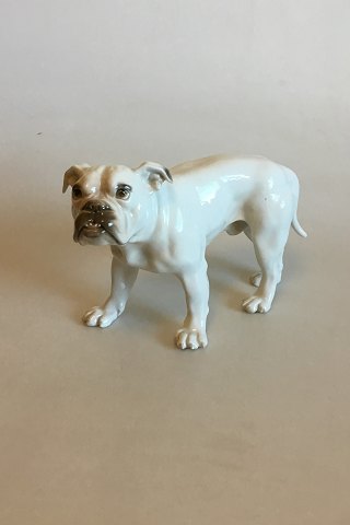 Bing & Grøndahl Figur af Bulldog No 1605. (Forkert nummereret No 1600)