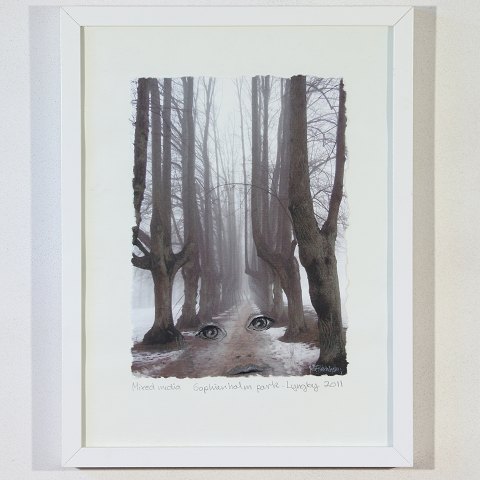 Bestellnummer: 50253