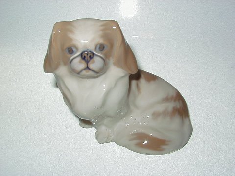 item no: 37781