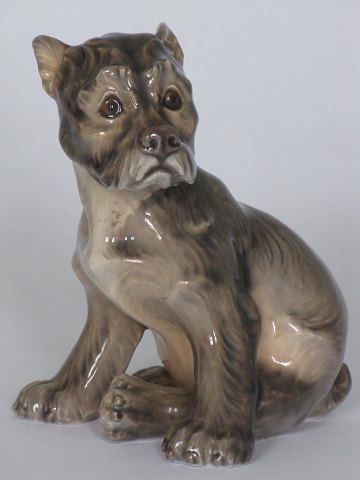 Schnauzer
Porcelæn
Dahl Jensen