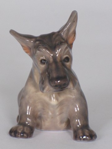 Skotsk Terrier
Porcelæn
Dahl Jensen