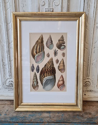 item no: 401212