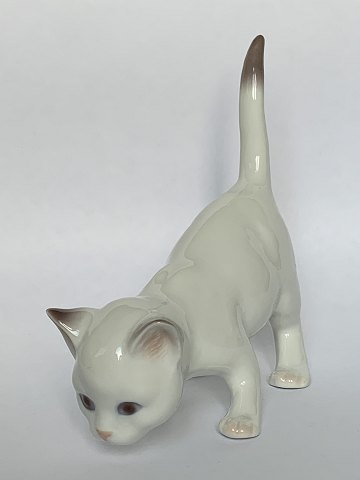 Kattekilling
B & G
Porcelæn