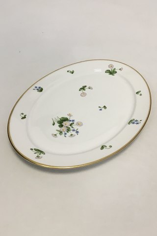 item no: 
461141